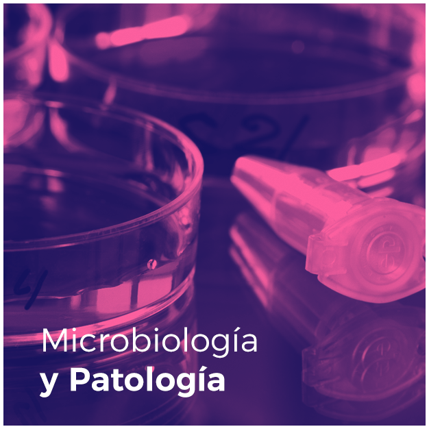 Microbiología y patología