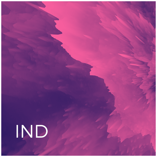IND – Indicadores