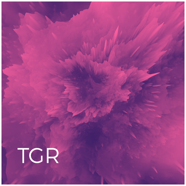 TGR – Análisis de Trazas