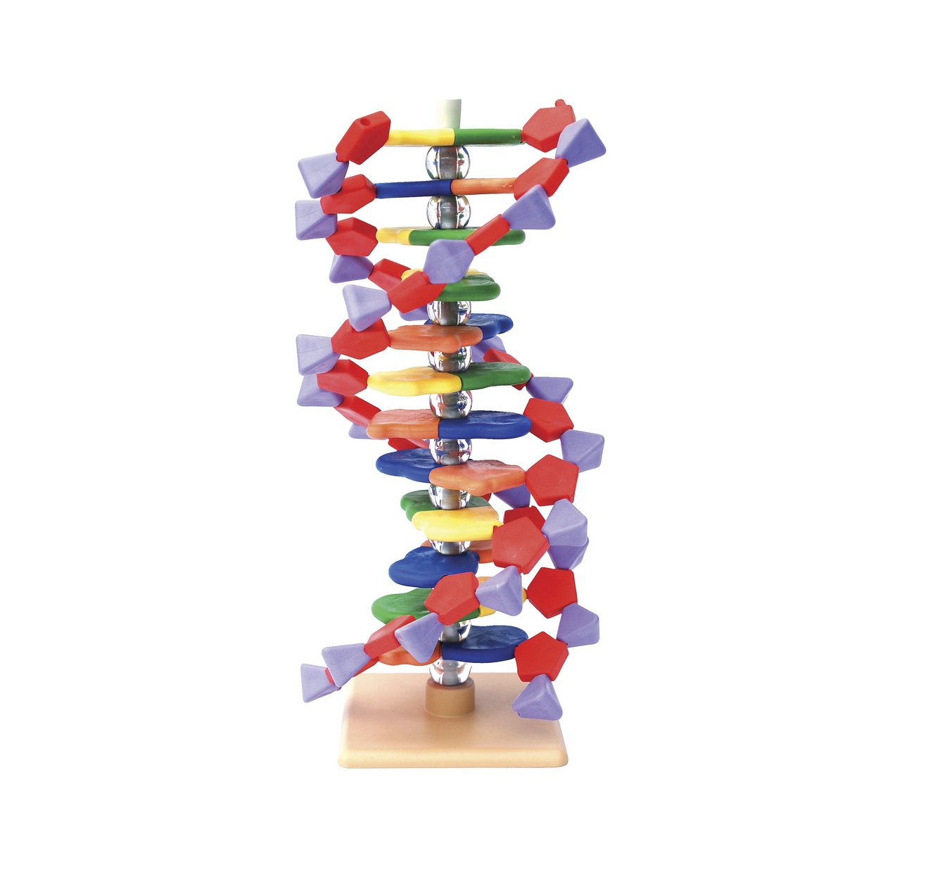 Modelo de ADN
