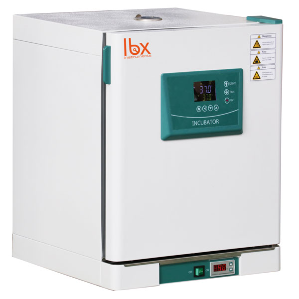 Incubadora de temperatura constante de alta precisión LBX INC65