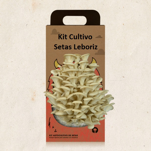 Kit Cultivo Setas (2 cajas)