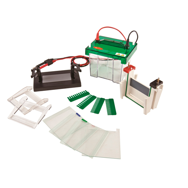 Sistema de electroforesis vertical